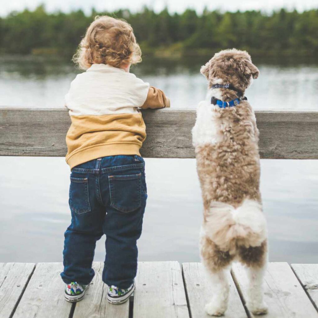 Kind mit Hund am Wasser