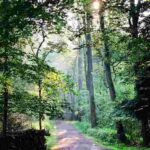 Wald, Waldbaden, Copyright: Marion Hiery